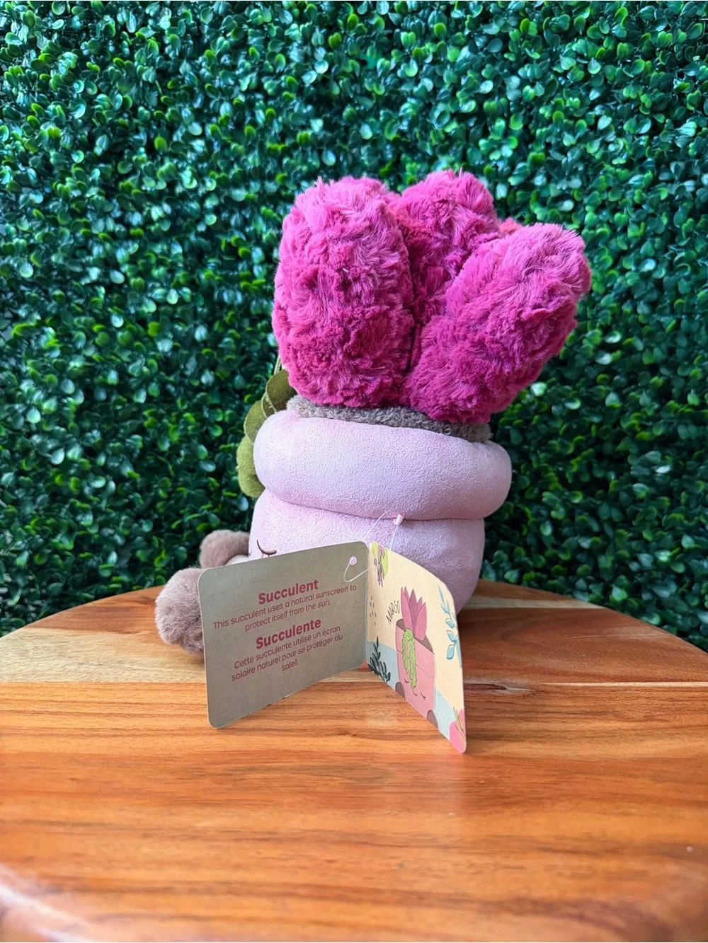 Greenhouse by Russ Margo the Succulent 12” Plush
